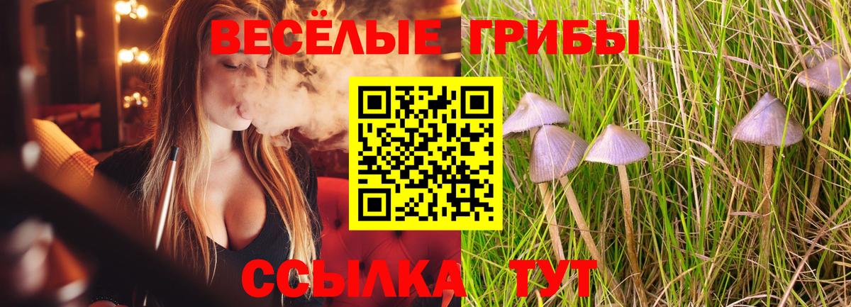 Норильск  Галлюциногенные грибы GOLDEN TEACHER  Вход с VPN  Псилоцибиновые грибы прущие грибы 